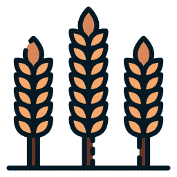 Organic Materials or Food Icon