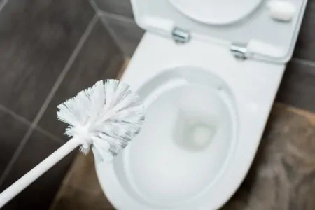 Cleaning toilet with toilet brush