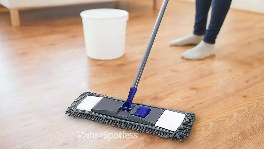 Photo of the Masthome Flat Dust Mop