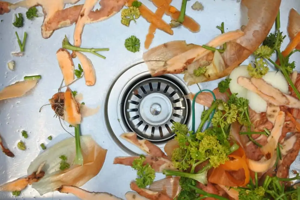 Mix of vegetables waste stuck in garbage disposal strainer
