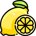 Is It Ok to Put Lemons in the Garbage Disposal? Icon