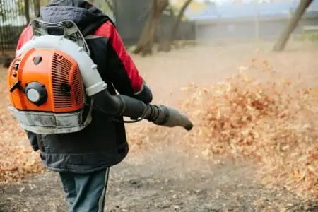 Man cleaning leaves in the park with backpack leaf blower