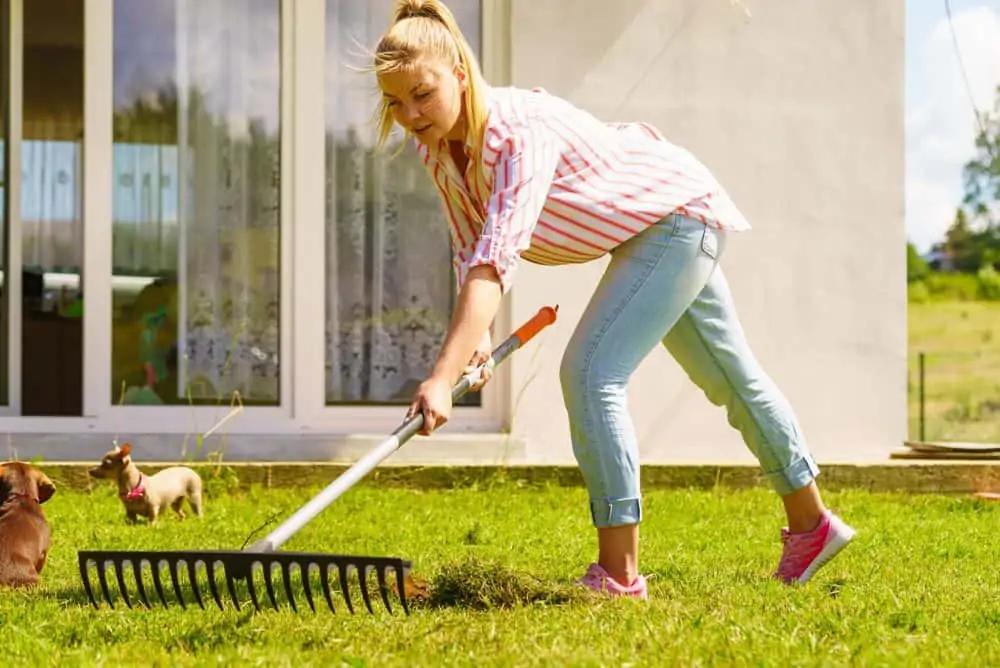 Woman using bow rake to clean up garden