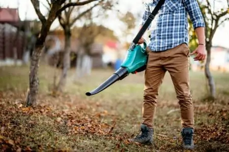 Man holding an electric leaf blower