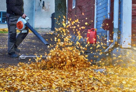 Man blowing autumn leaves with gas leaf blower