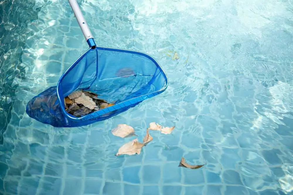 Cleaning swimming pool of fallen leaves