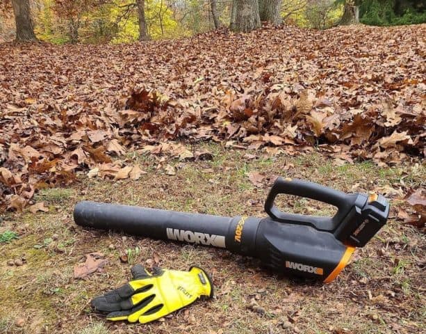 7 Best Leaf Mulchers and Shredders (2022 Reviews) - Oh So Spotless