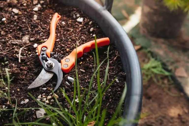 Gardening pruning shears