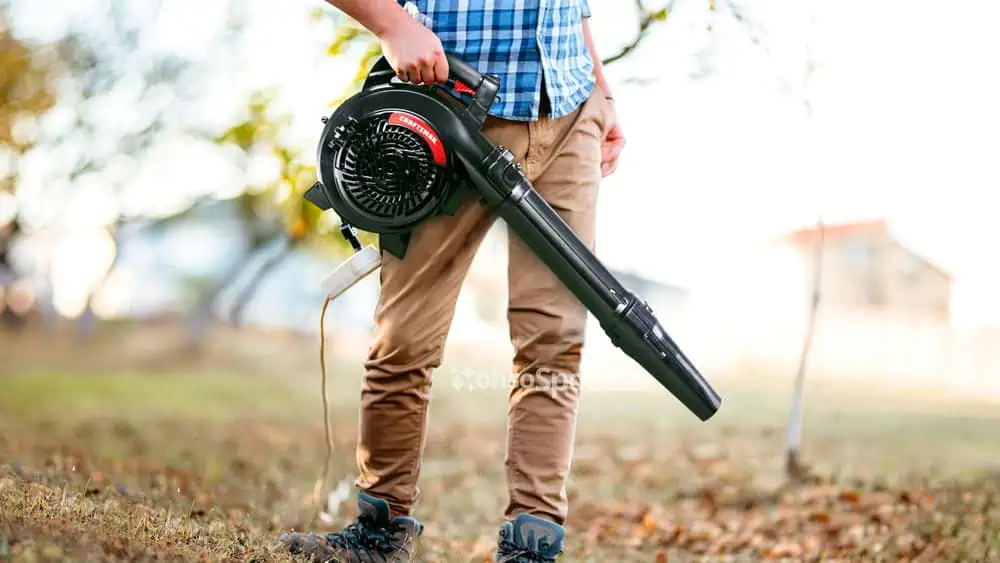 Photo of the Craftsman BV245 Gas Powered Leaf Blower