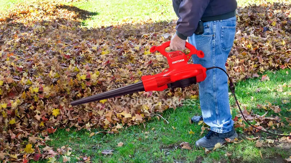 Photo of the Craftsman Leaf Blower, Vacuum and Mulcher