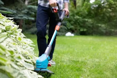 Cutting the lawn with cordless string trimmer, edger