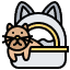 Why Do Cats Urinate Outside of the Litter Box? Icon