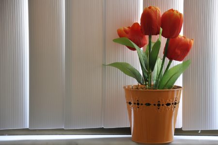 Closed vertical blinds and flower pot on windowsill