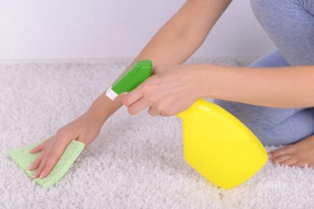 Cleaning carpet with cloth and sprayer