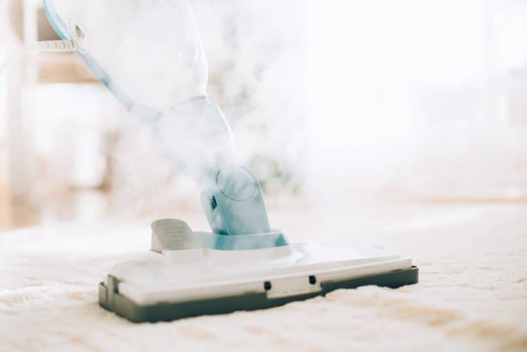 Cleaning the floor carpet with a steam mop