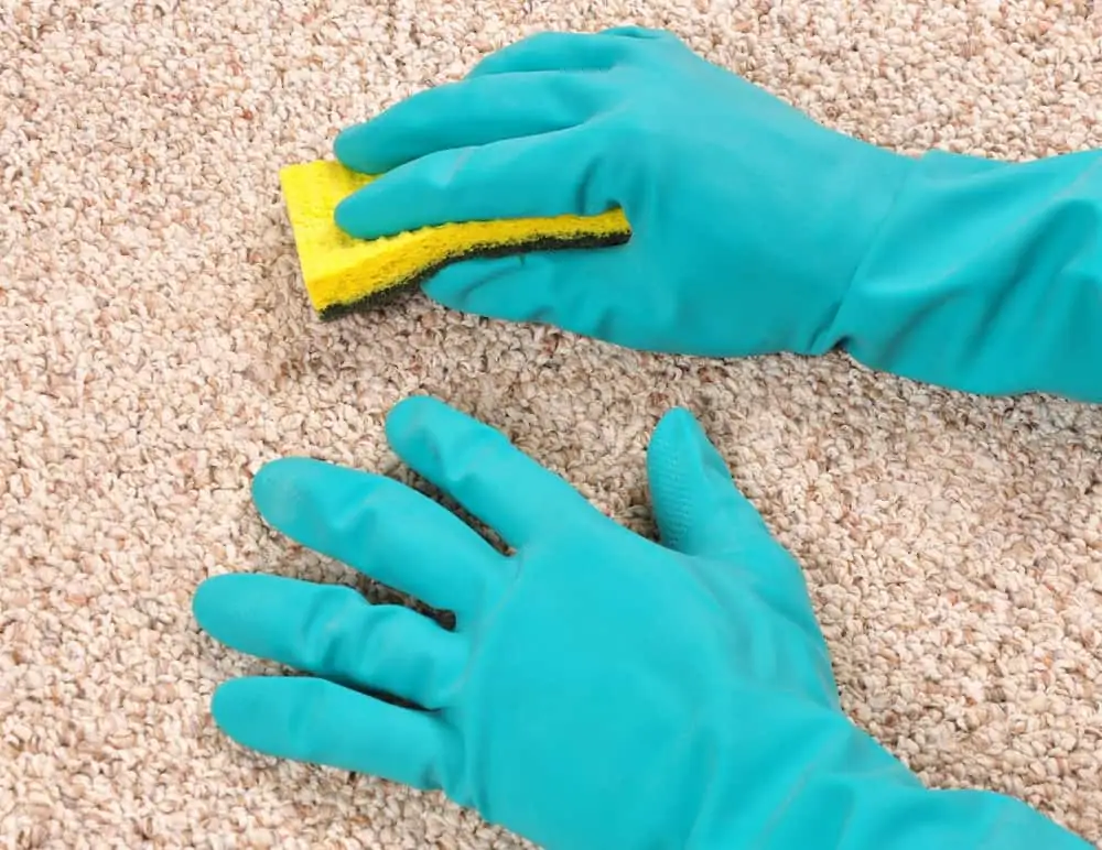 Cropped image of woman scrubbing wool rug with sponge