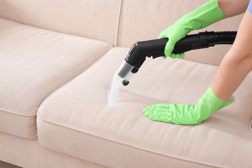 Closeup image of woman cleaning couch with vacuum cleaner at home