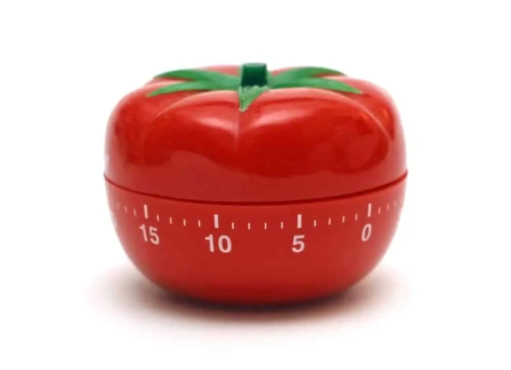 Photo of a tomato timer with line measurements