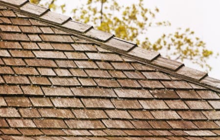 Roof shingles with tree debris and small amount of moss