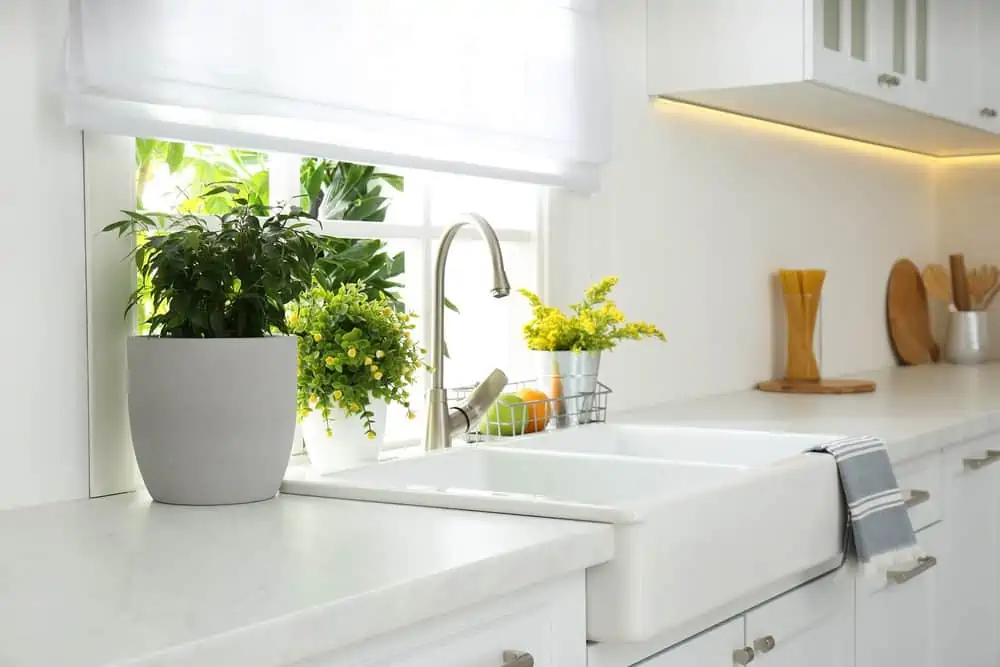 White modern sink with potted plants near window