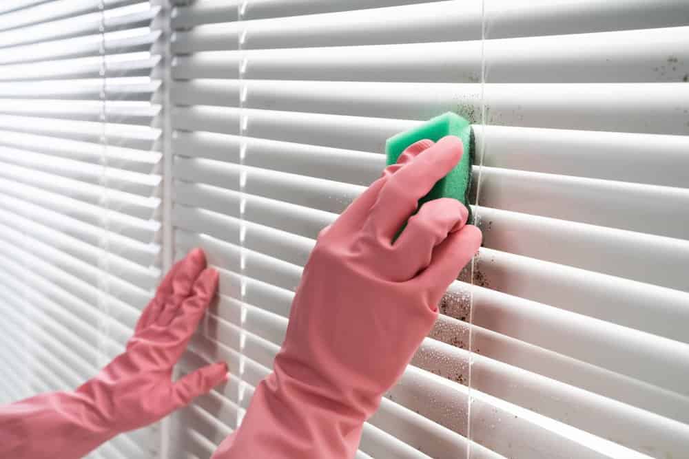 Cropped photo of hands in gloves cleaning window blinds with sponge