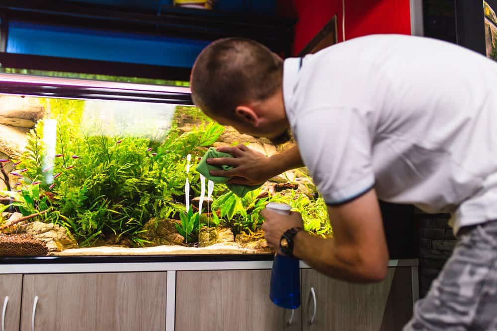 Male cleaning the outside of aquarium fish tank