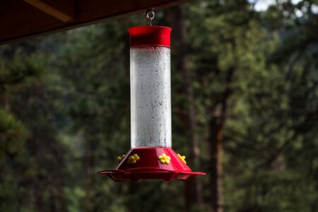 Hummingbird feeder hanging on wood over nature background