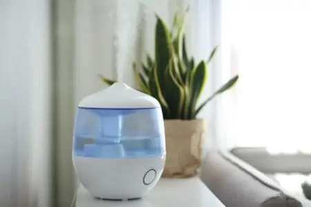 Vicks humidifier on table in living room with indoor plant in the back