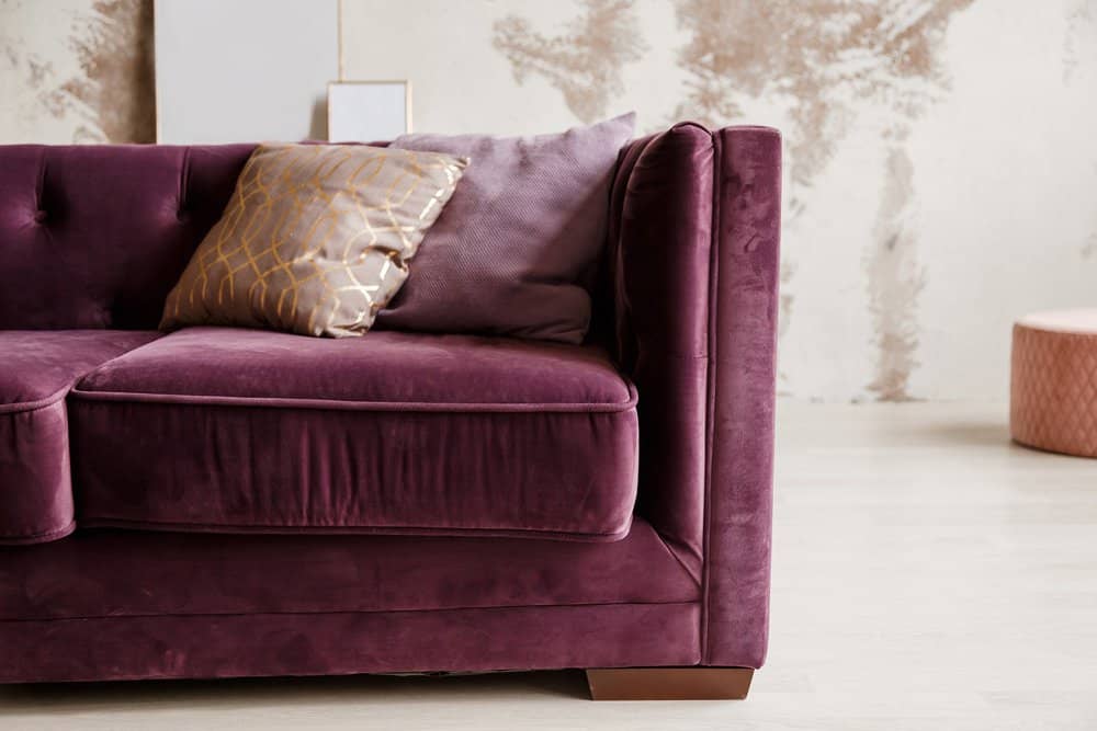 Purple velvet couch with golden pillow in living room interior