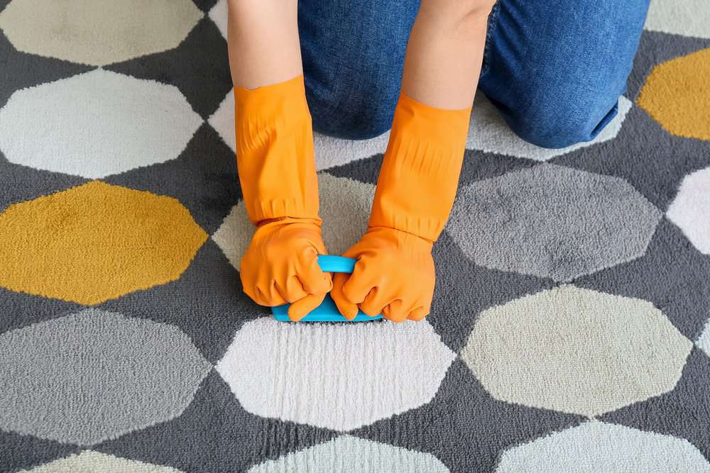 Woman in rubber gloves cleaning sunbrella fabric carpet with brush at home
