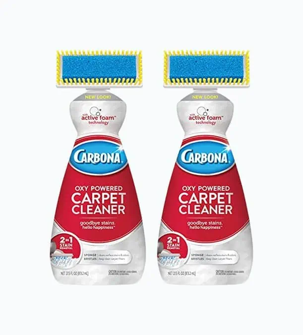 Product Image of the Carbona 2-In-1 Carpet Cleaner