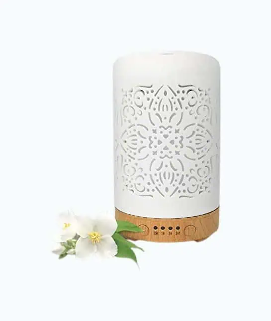 Product Image of the Earnest Living Diffuser