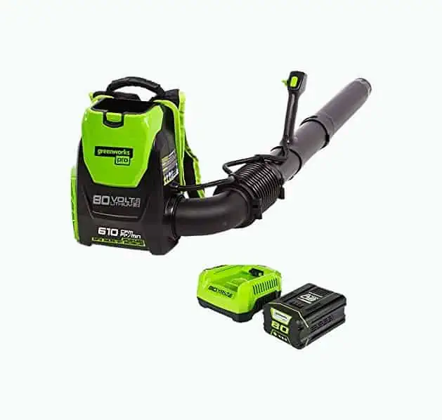 Product Image of the Greenworks Cordless Backpack Leaf Blower
