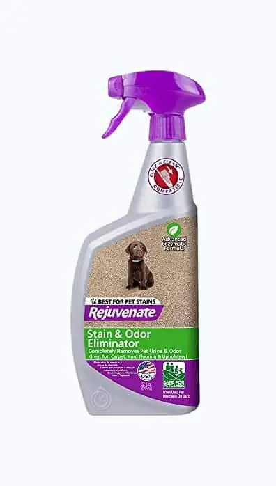 Product Image of the Rejuvenate Bio-Enzymatic Upholstery Cleaner