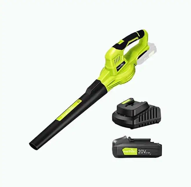 Product Image of the SnapFresh Cordless Leaf Blower