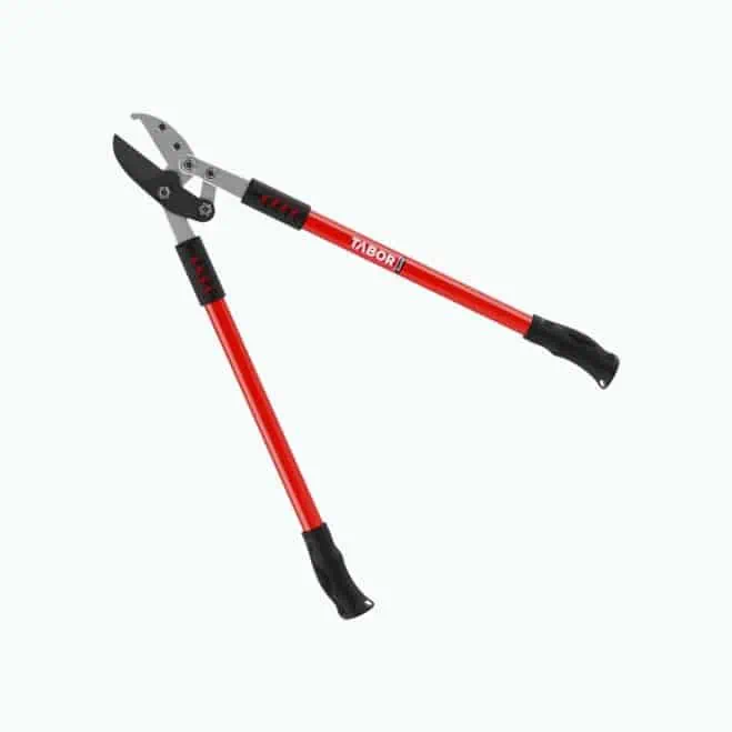 Product Image of the Tabor Tools GG12A Anvil Lopper